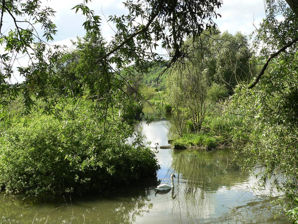 Ibis Budget Mantes-La-Jolie Exteriér fotografie