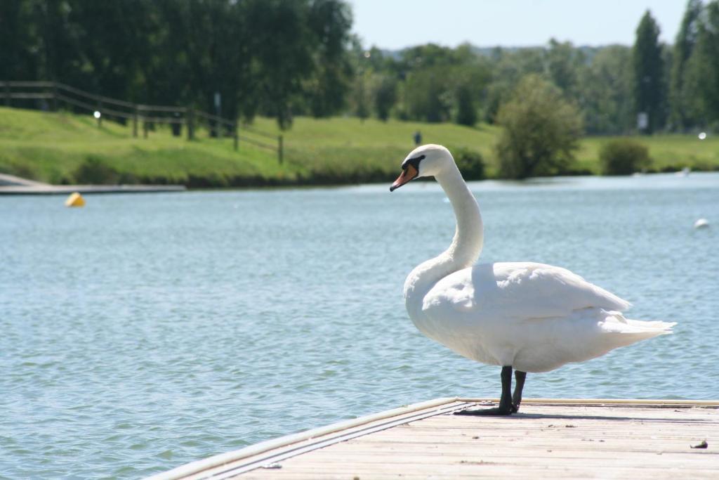Ibis Budget Mantes-La-Jolie Exteriér fotografie